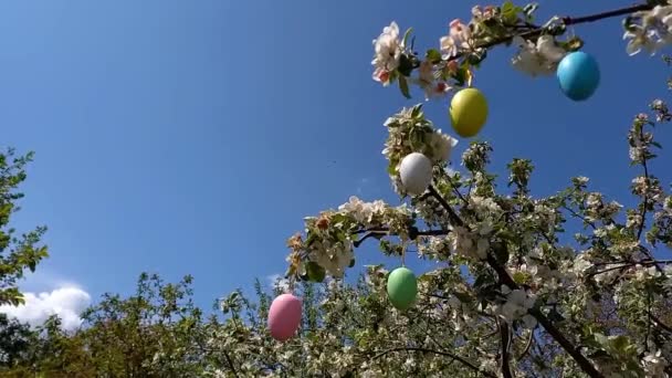 Щасливого Великодня Гілки Квітучого Дерева Прикрашені Декоративними Великодніми Яйцями Тлом — стокове відео