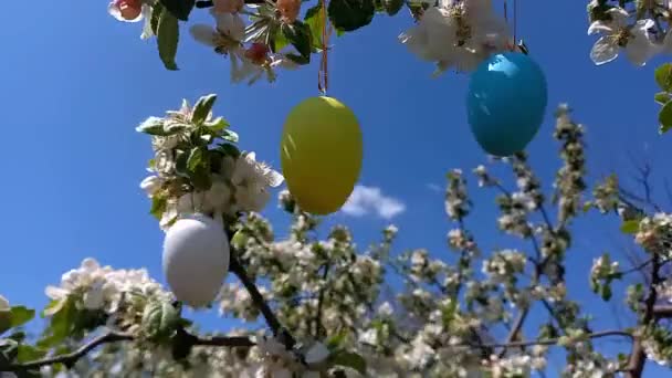 ハッピーイースター 装飾的なイースターエッグで飾られた花の木 春の庭 イースターの準備 選択的な焦点 宗教的な休日 — ストック動画
