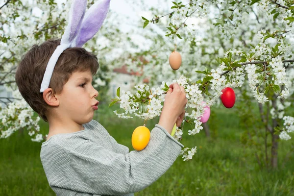 Paskalya yumurtası avı. Anaokulu çocuğu tavşan kulağı takıyor ve bahçede Paskalya yumurtası avında renkli yumurtalar buluyor. Çiçek açan ağaçların dallarını renkli yumurtalarla süsleyen bir çocuk. Paskalya geleneği