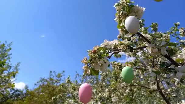 Щасливого Великодня Гілки Квітучого Дерева Прикрашені Декоративними Великодніми Яйцями Тлом — стокове відео