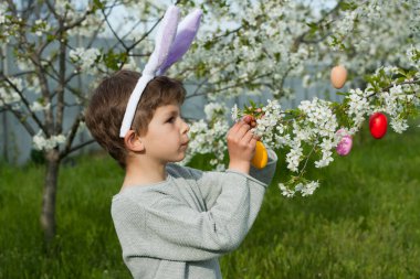 Paskalya yumurtası avı. Anaokulu çocuğu tavşan kulağı takıyor ve bahçede Paskalya yumurtası avında renkli yumurtalar buluyor. Çiçek açan ağaçların dallarını renkli yumurtalarla süsleyen bir çocuk. Paskalya geleneği