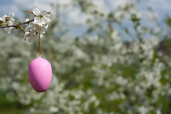 Greeting card Happy Easter with space for text. Close-up of decorative Easter egg on branch against background of flowering trees. Holiday concept. Religious holiday of Easter. Nature. Springtime