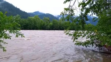 Manzara. Yazın yağmur yağarken Cheremosh dağ nehrinin hızlı akan sularının manzarası. Nehirde yağış sırasında su seviyesinde artış. Ukrayna, Karpat Dağları
