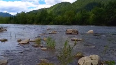 Manzara. Cheremosh dağ nehrinin hızlı akan sularının manzarası. Nehrin berrak suyu. Yaz, güneşli bir gün. Ukrayna, Karpatlar, Usteriki köyü, İvano-Frankivsk bölgesi. Seçici Odaklanma