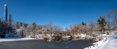 Kış boyunca Gapstow Köprüsü manzarası, Central Park New York. ABD