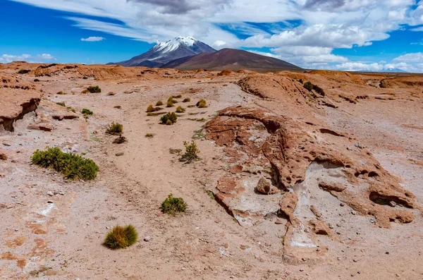 Widok Kamienne Pole Wulkan Ollague Boliwia Granica Chile — Zdjęcie stockowe