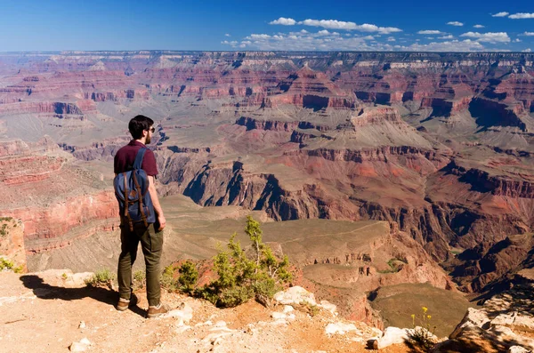 Escursionista Nel Parco Nazionale Del Grand Canyon Stati Uniti — Foto Stock