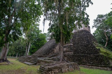 Dzibanche, Quintana Roo 'nun güneyindeki Yucatan Yarımadası' nda bulunan antik Maya uygarlığının arkeolojik bir yeridir..