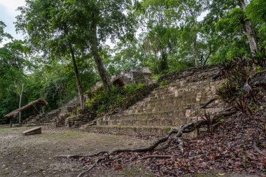 Dzibanche, Quintana Roo 'nun güneyindeki Yucatan Yarımadası' nda bulunan antik Maya uygarlığının arkeolojik bir yeridir..