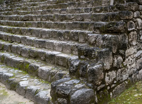 Calakmul Kalakmul Sitio Arqueológico Maya Estado Mexicano Campeche — Foto de Stock