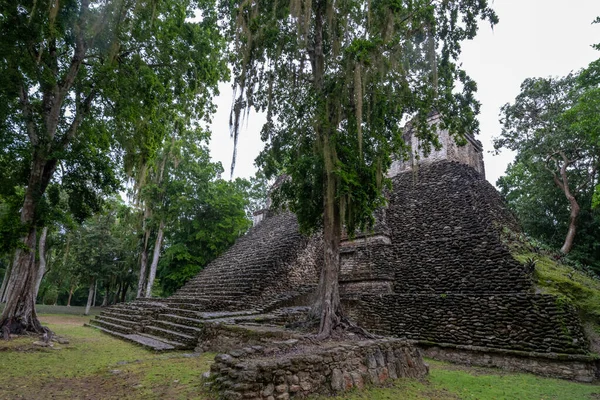 Dzibanche是位于墨西哥尤卡坦半岛金塔纳罗奥州南部的古玛雅文明的考古遗址 — 图库照片