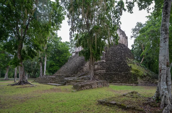 Dzibanche是位于墨西哥尤卡坦半岛金塔纳罗奥州南部的古玛雅文明的考古遗址 — 图库照片