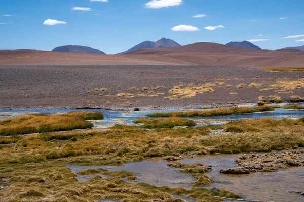 Vista Lagoa Quepiaco Deserto Atacama Chile Imagens De Bancos De Imagens