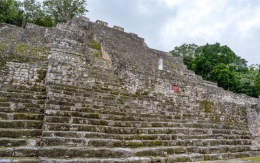 Calakmul (Kalakmul), Meksika 'nın Campeche eyaletinde bir Maya arkeolojik alanıdır.