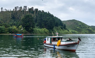Puerto Montt, Şili - 25 Ocak 2020: Puerto Montt, Şili 'deki Angelmo Balık Pazarı yakınlarındaki liman
