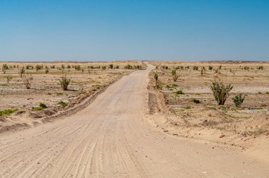 Wadi Aydam 'da manzara, Umman