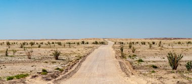 Wadi Aydam 'da manzara, Umman