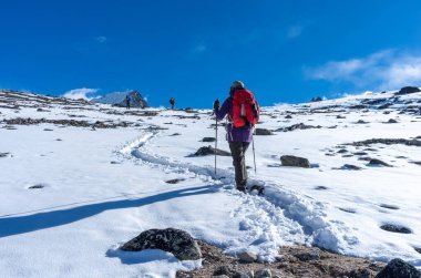 Yürüyüş grubu yolda. Sagarmatha Ulusal Parkı, Nepal