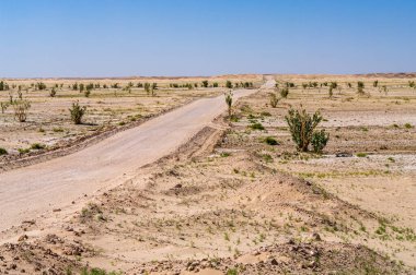 Wadi Aydam 'da manzara, Umman