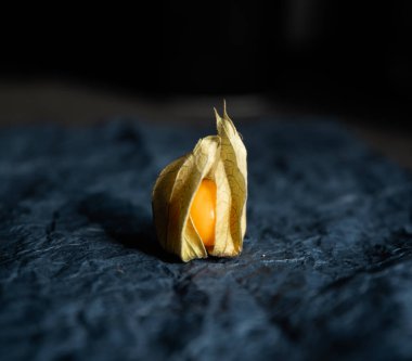 Koyu mavi arka planda bir bitki örtüsü.