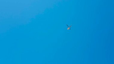 # Mavi gökyüzünde dönen bir helikopter #
