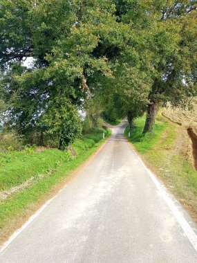 Road in the countryside of Emilia Romagna in Italy, Europe clipart