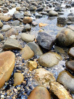 Doğanın güzel manzarası