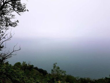 Ağacı ve dağı olan güzel bir manzara.