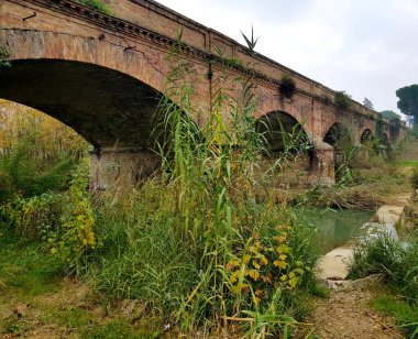 Arka planda nehir ve köprü olan güzel bir manzara.