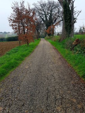 Kışın çıplak ağaçla taşrada toprak yol