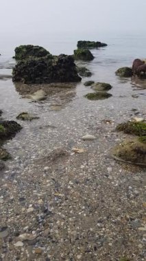 Deniz kıyısında. Akdeniz kıyısı