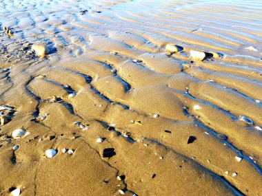 Kumsal, deniz dalgaları