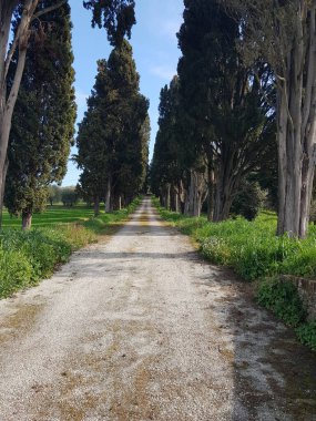 Parkın güzel manzarası