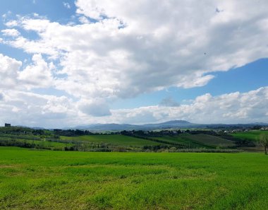 Yeşil çimenlerle ve bulutlu gökyüzüyle güzel bir manzara.