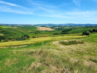 İtalya 'nın Toskana şehrinde yaz mevsiminde kırsal alan.