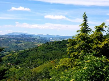 Yazın dağların manzarası