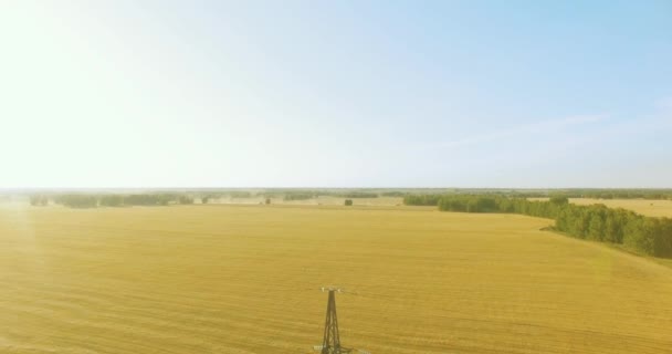 Uhd 4K航空ビュー 夏の晴れた日には 高電圧電力塔と緑と黄色の小麦の田園地帯での電力線の近くの垂直移動飛行 地平線の太陽光線 — ストック動画