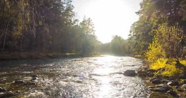 Uhd山の川は夏や秋の時間にタイムラプスします 野生の自然 澄んだ水と農村常緑谷 太陽光線 小さな小川と黄色の草 電動ドリルスライダーの動き — ストック動画