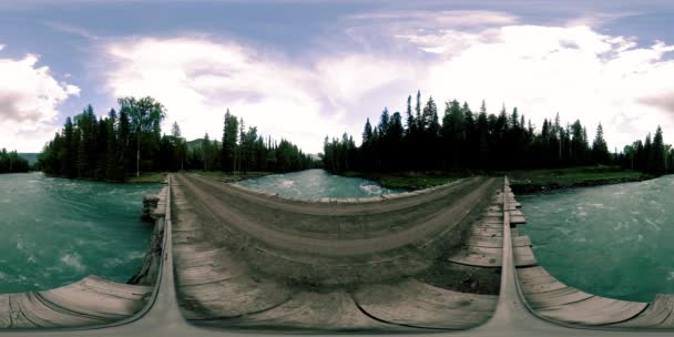 360 Vr虚拟现实的一个野生森林场景在初秋或夏季的时候 松树林 小而快 山河冰冷 国家公园 老桥和阳光 — 图库视频影像