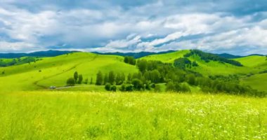 Yaz ya da sonbahar mevsiminde dağdaki çayır zaman atlaması. Vahşi doğa ve kırsal alan. Hızlı bulut hareketleri, yeşil çimenler ve güneş ışınları. Motorlu Panorama