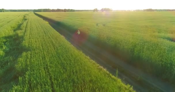 Flygfoto Ung Pojke Som Rider Cykel Genom Ett Vete Gräs — Stockvideo