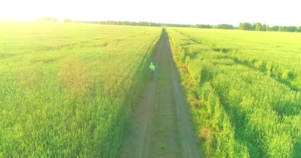 Letecký Pohled Mladého Chlapce Který Jede Kole Přes Pšeničné Trávníkové — Stock video