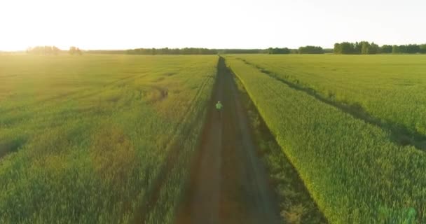 Aerial View Young Boy Rides Bicycle Thru Wheat Grass Field — Stock Video