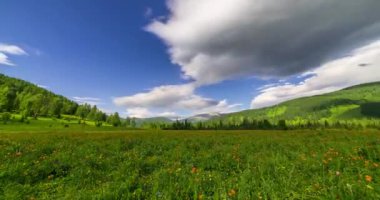 Yaz ya da sonbahar mevsiminde dağdaki çayır zaman atlaması. Vahşi doğa ve kırsal alan. Bulutların hareketi, yeşil çimenler ve güneş ışınları. Motorlu Panorama