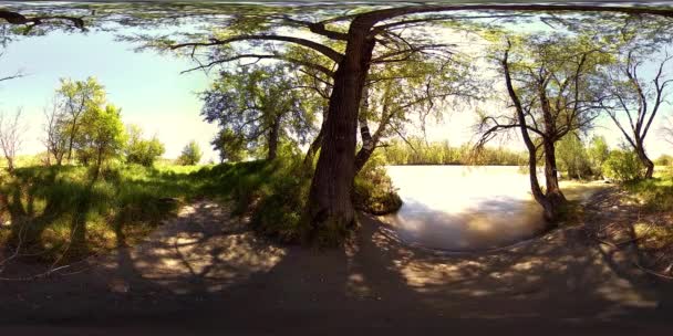 360 Εικονική Πραγματικότητα Ενός Ποταμού Ρέει Πάνω Από Βράχους Αυτή — Αρχείο Βίντεο