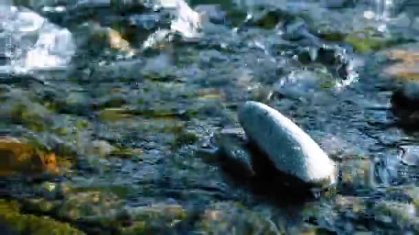 Ormanın Yakınındaki Küçük Bir Dağ Nehrinde Akan Suyun Motorlu Bebek — Stok video