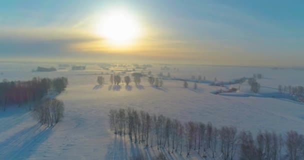 无人机俯瞰着寒冷的冬季风景北极田野 覆盖着霜雪 冰河和地平线上的太阳光的树木 极端低温天气 — 图库视频影像