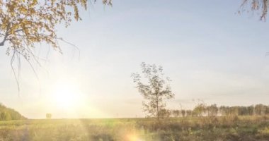 4K UHD düz çayır zamanı yaz veya sonbahar günbatımında. Vahşi Rus doğası ve kırsal alan. Güneş ışınları, ağaçlar, yeşil çimen hareketleri. Motorlu doli kaydırıcı