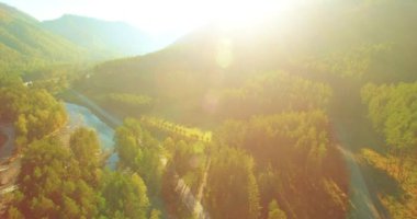 4K hava bakış açısı. Güneşli yaz sabahında, taze, hızlı dağ nehri üzerinde kayalıklarla alçak irtifa uçuşu. Yeşil çam ağaçları ve güneş ışınları. Saf soğuk su akıntısı.