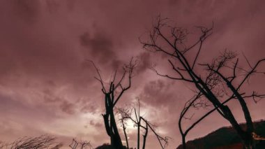 4K UHD ölüm ağacı ve kuraklık felaketi, dağlık arazide bulutlu ve güneş ışınlı kuru sarı çimenler ve toprak. İklim değişikliği, küresel ısınma ve ekoloji problemi kavramı. Yatay